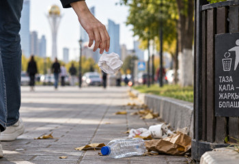 Қоқысты жерге тастағаны үшін қандай жауапкершілік бар?