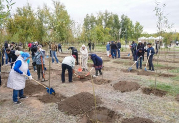 «Таза Қазақстан»: в столичном парке «Коктал» провели экоакцию по посадке деревьев