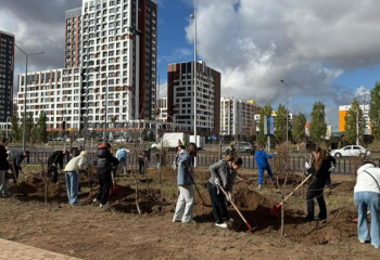 «Таза Қазақстан»: Астанада 400-ге жуық ағаш отырғызылды