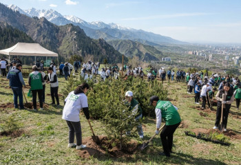 Almaty SuperSki: Кок-Жайлау будет легкими Алматы - в горах прошла акция по посадке деревьев