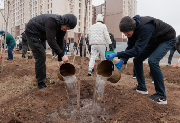 Экологиялық бастамалар: волонтерлер 300 мыңнан астам ағаш екті