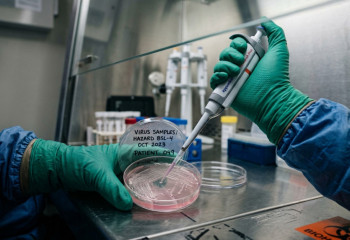 ИИ разработал вирусы для борьбы с устойчивой к антибиотикам инфекцией