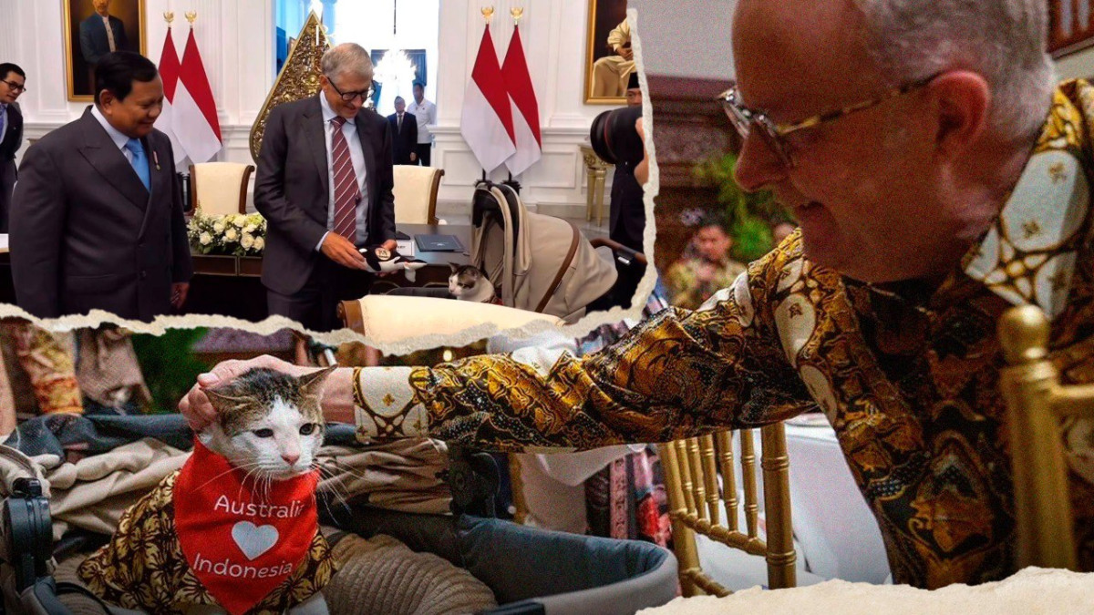 Миллиардерлерден сыйлық алып, арнайы күзетке ие болған мысық туралы не білеміз?