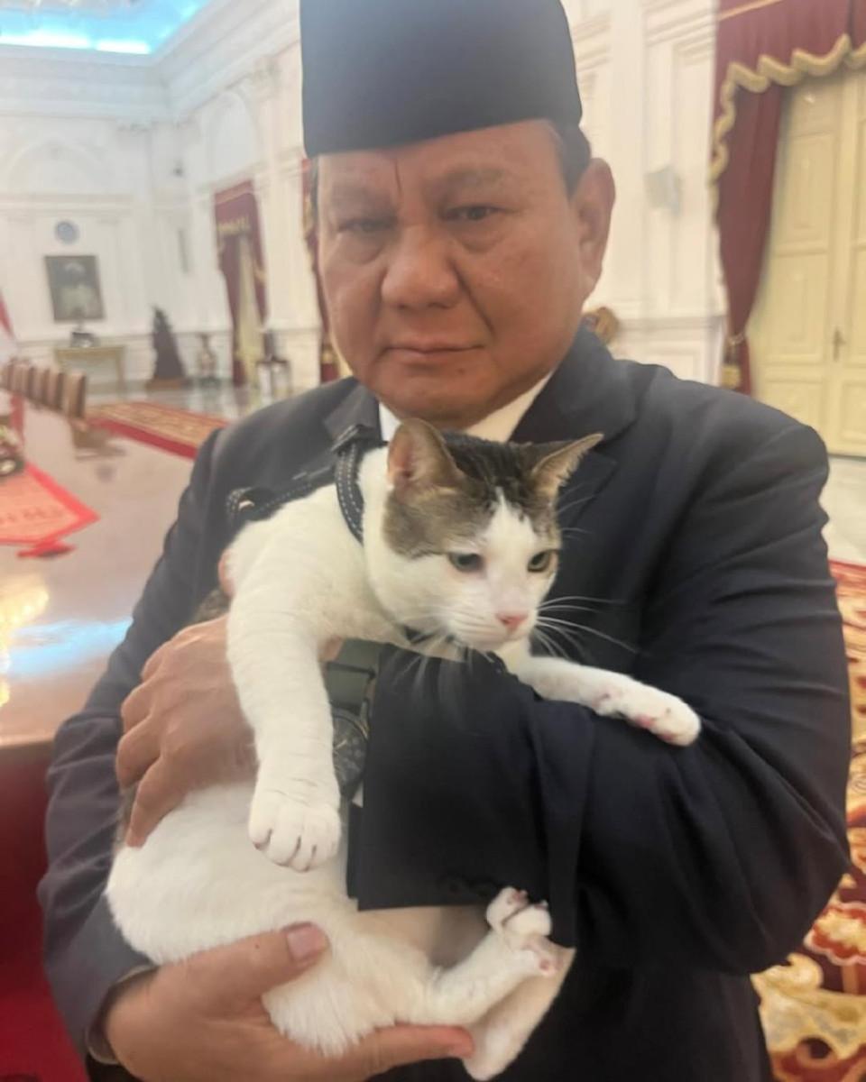 Миллиардерлерден сыйлық алып, арнайы күзетке ие болған мысық туралы не білеміз?