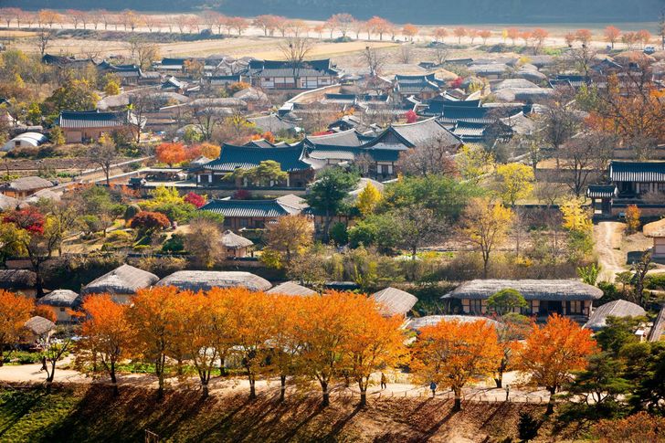 Фото: TheKoreaTimes