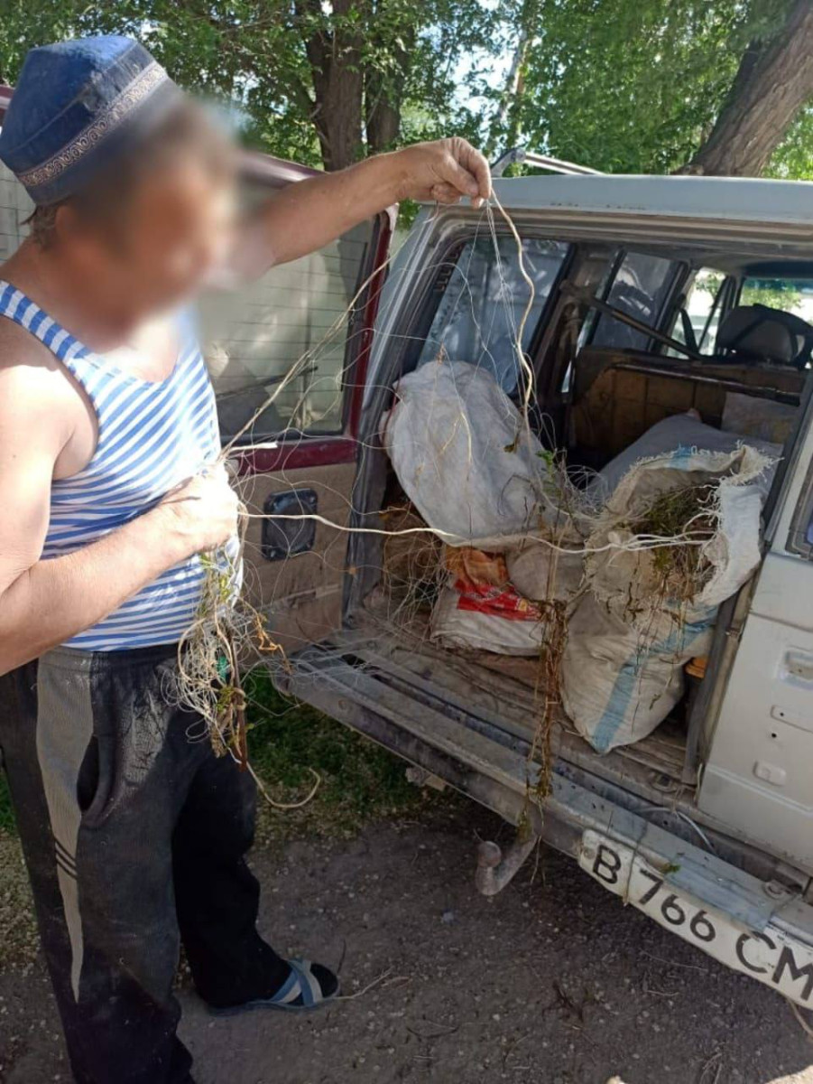 Около 100 кг незаконно выловленной рыбы изъяли у сельчанина в Жетісу