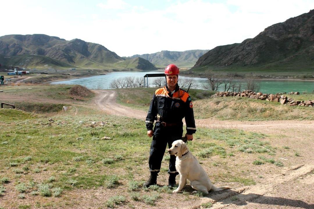 Dog rescuers in Turkey