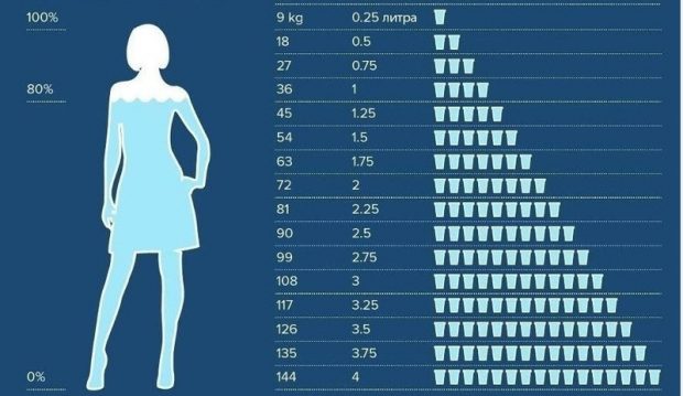 Күнде су ішу неге маңызды?