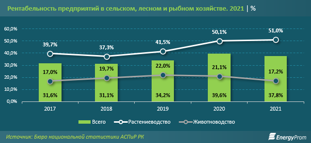 Три самые рентабельные для выращивания в Казахстане культуры назвали эксперты