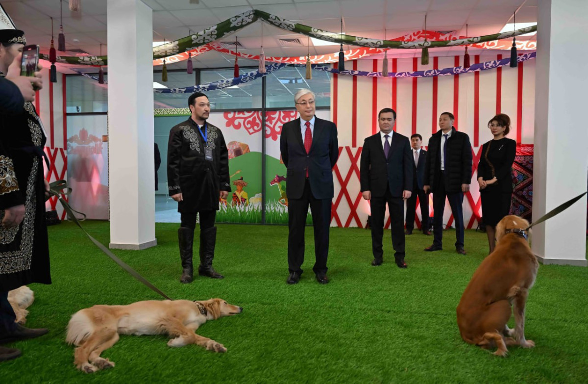Президенту подарили щенка породы тазы по кличке Наурыз