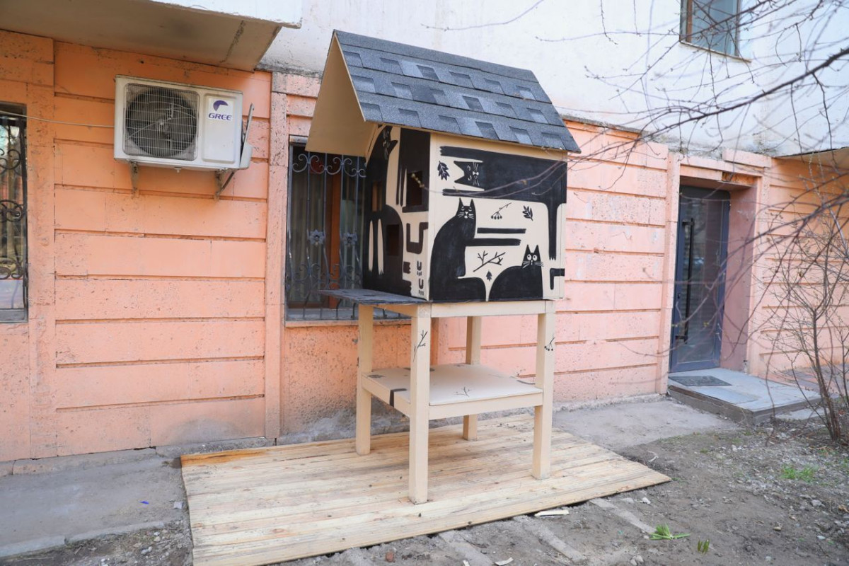 В Алматы построили дом для бездомных кошек