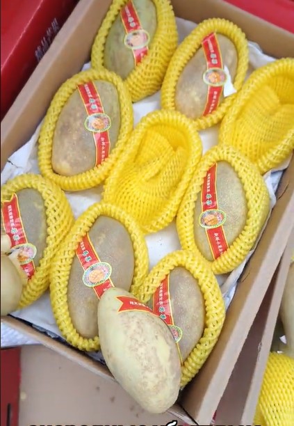 На рынке в Алматы манго из Китая выбрасывают коробками