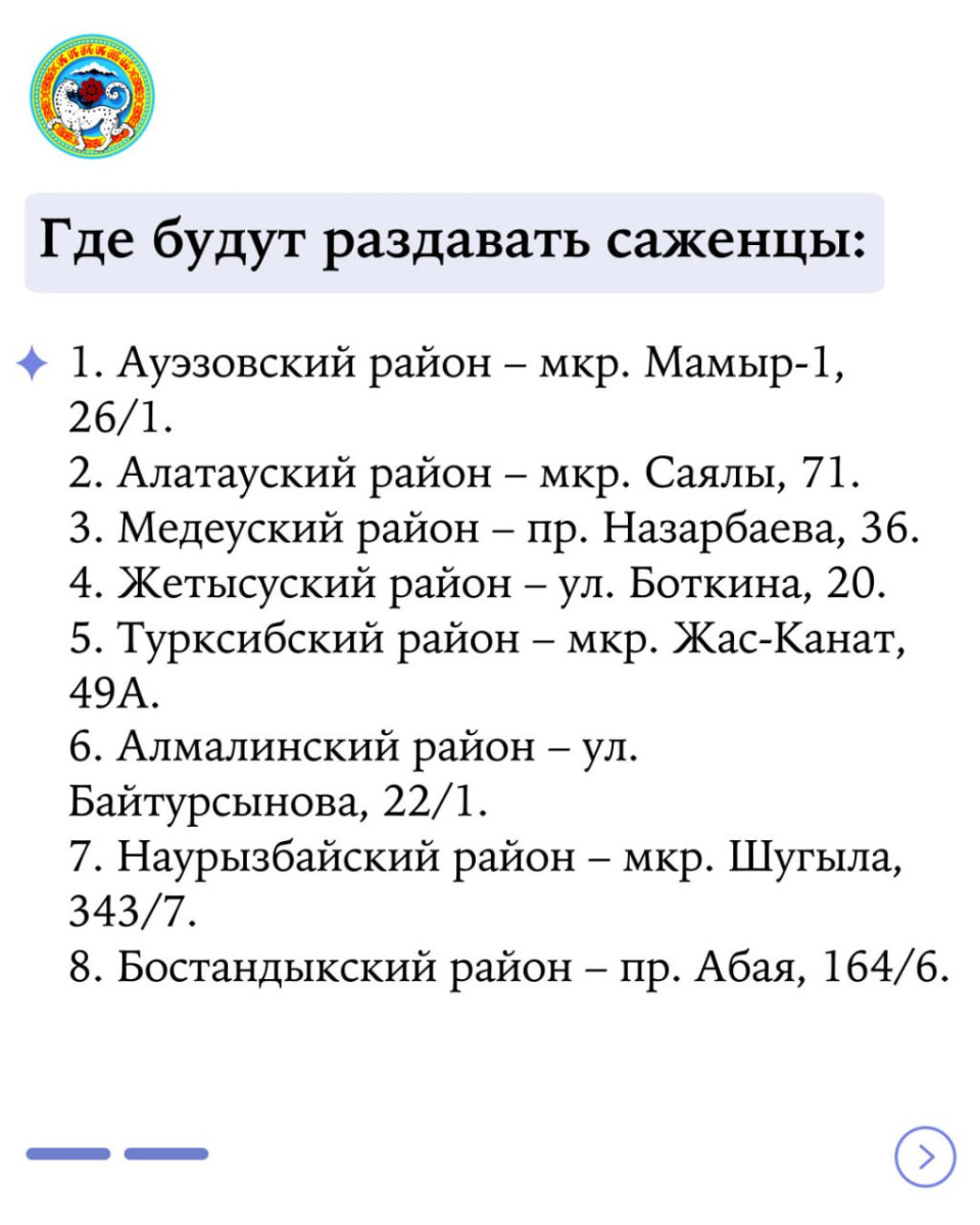 Алматинцам бесплатно раздадут саженцы лиственных деревьев