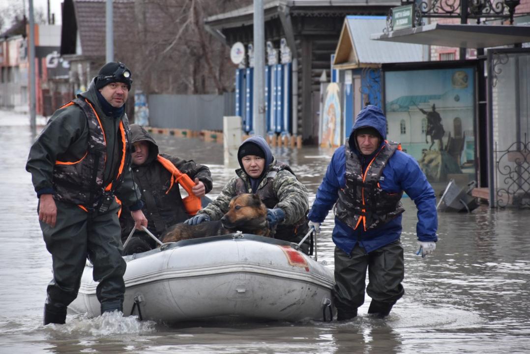 19 октября – профессиональный праздник спасателей Казахстана: достижения и итоги работы рассказали в МЧС