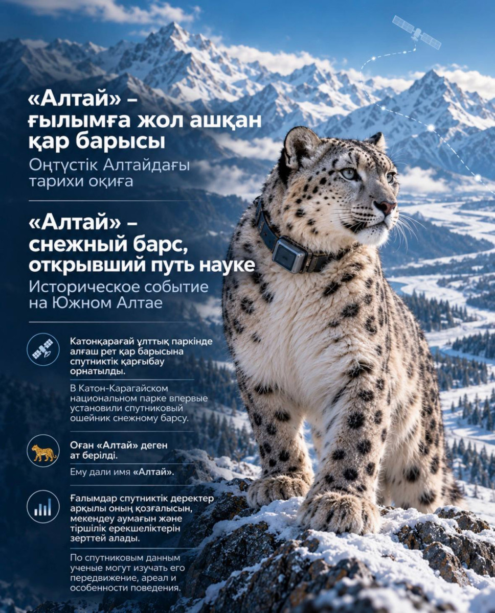 t.me/EcologyofQazaqstan