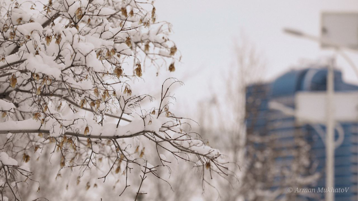 Астананың қысқы көріністері. Фоторепортаж