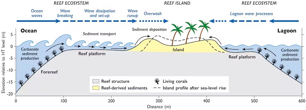 Климаттың өзгеруінен Мальдив аралдары су астына кетуі мүмкін бе?