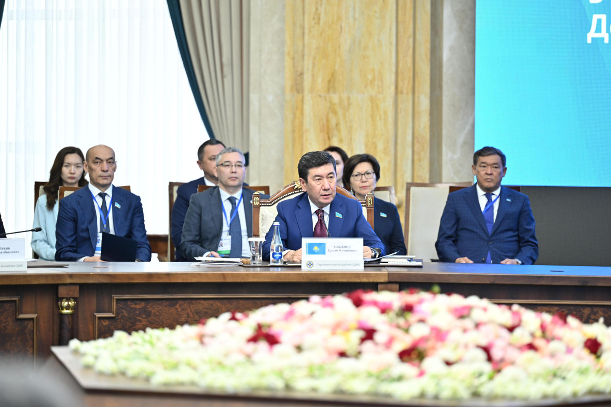Қошанов ҰҚШҰ парламенттерін кибералаяқтыққа қарсы ортақ кеңістік құруға шақырды