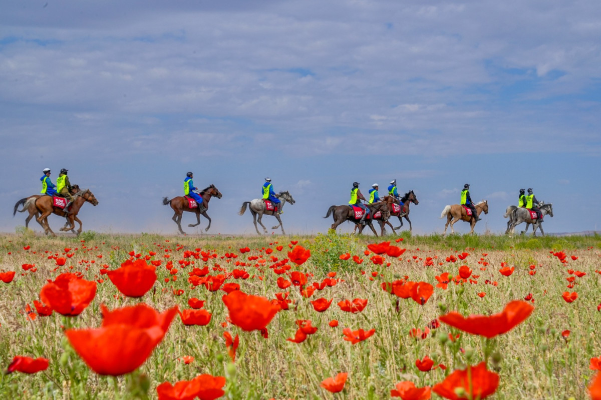 Ералы Тоғжанов жаңа қызметке тағайындалды Ералы Тоғжанов жаңа қызметке тағайындалды