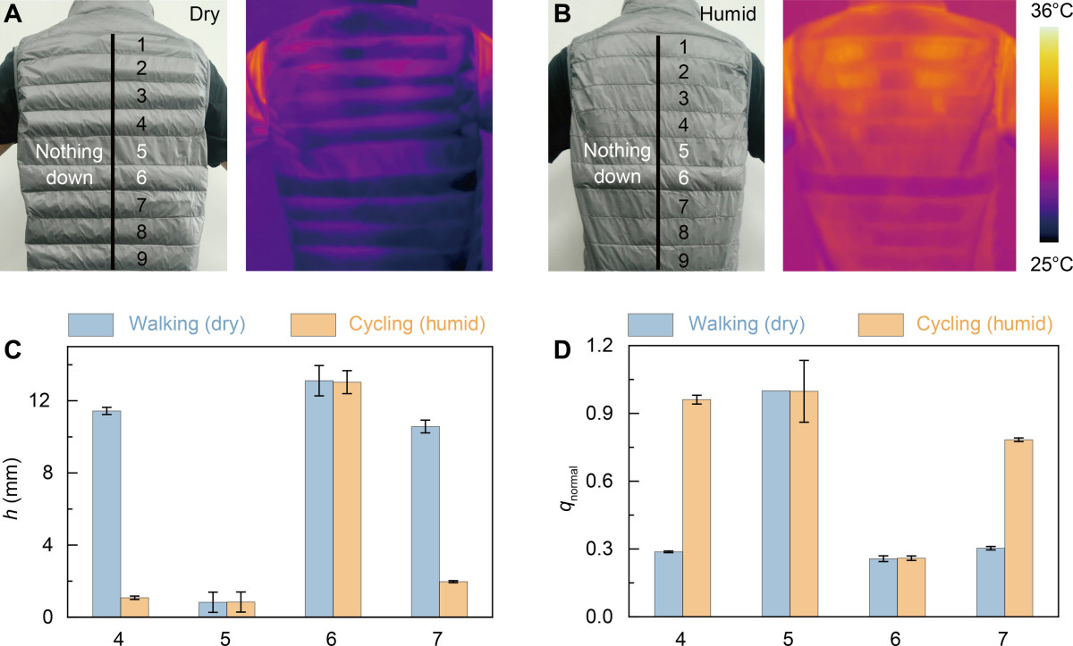 Ғалымдар ыстықта жұқарып, суықта ісінетін «ақылды» күртеше ойлап тапты Ғалымдар ыстықта жұқарып, суықта ісінетін «ақылды» күртеше ойлап тапты