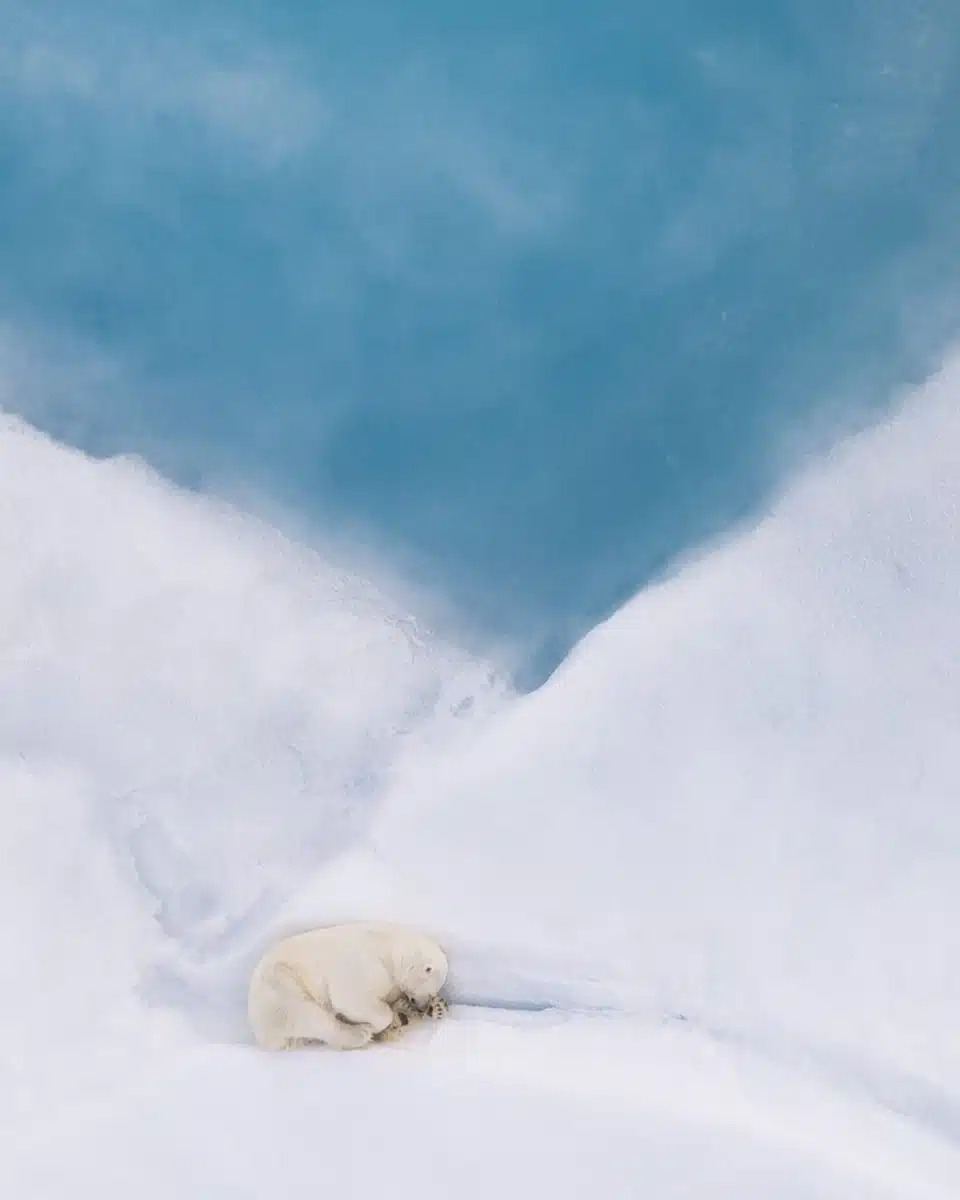 © Felix Belloin