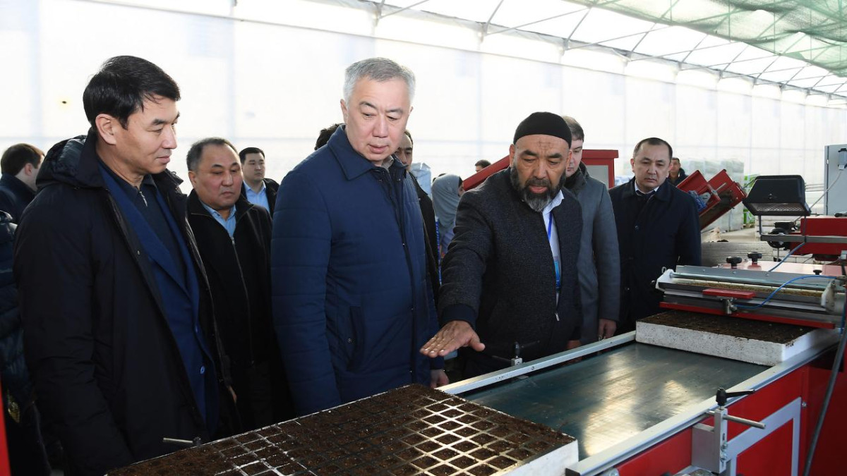 Правительство поможет развитию тепличных хозяйств в Туркестанской области