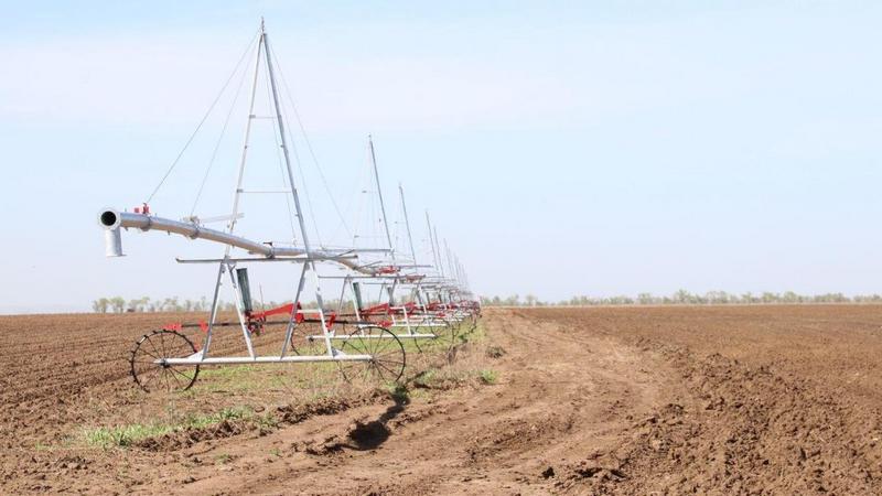 В Карагандинской области засеют зерновыми более 1 млн гектаров