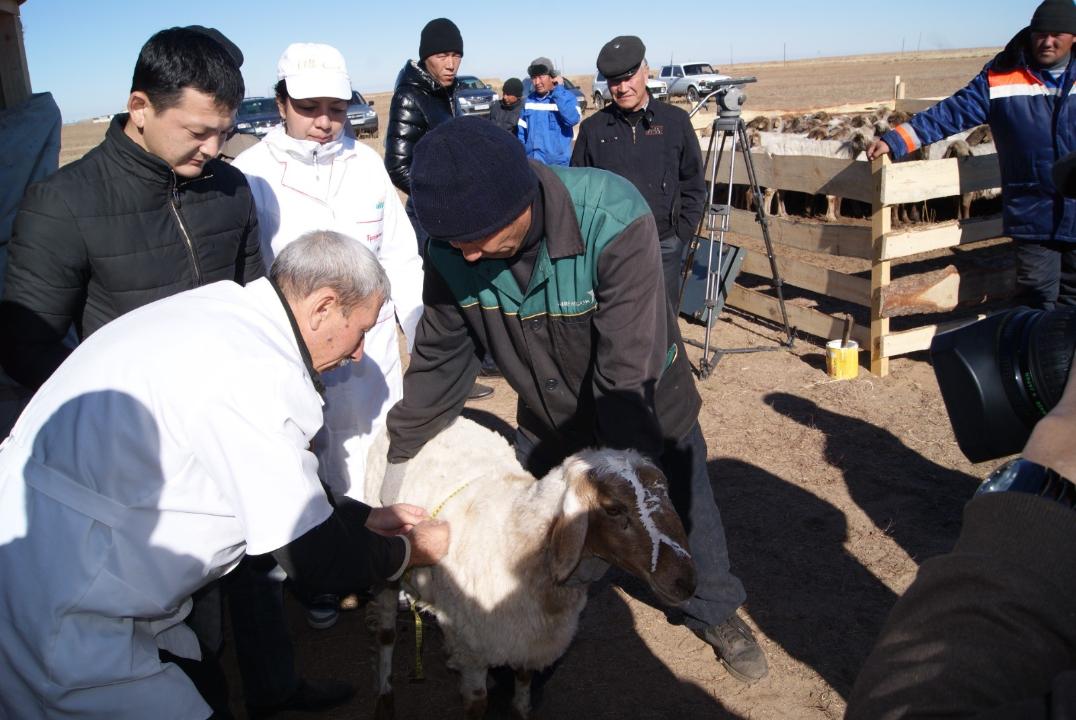 В Казахстане наблюдается острый дефицит квалифицированных зооинженеров