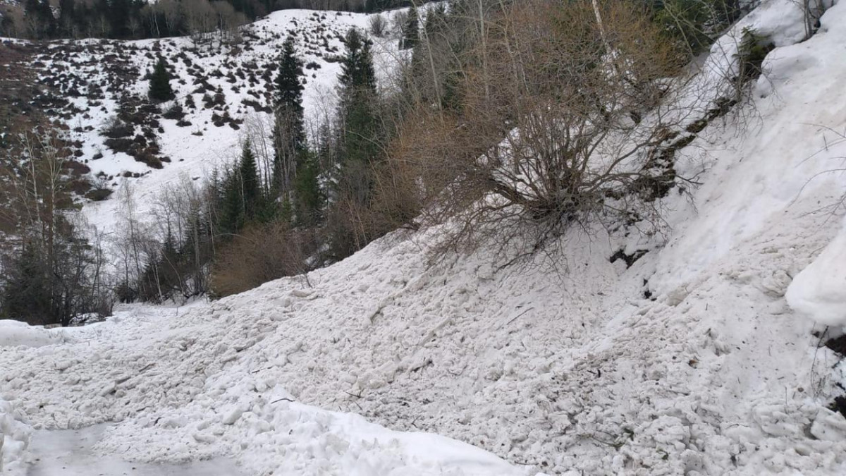Сходы снежных лавин произошли в Алматинской области