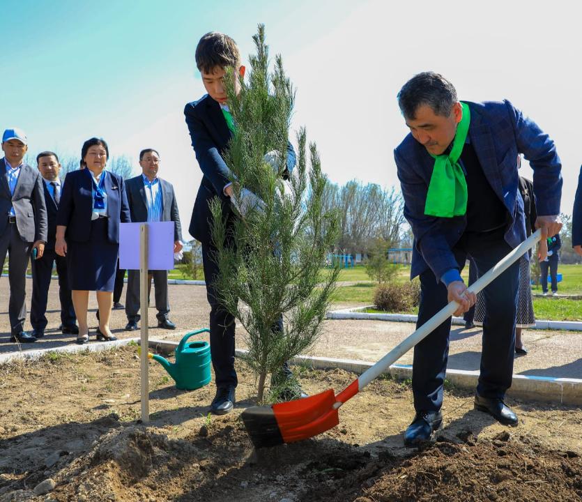 20 тысяч деревьев планируют посадить в районе Жамбылской области