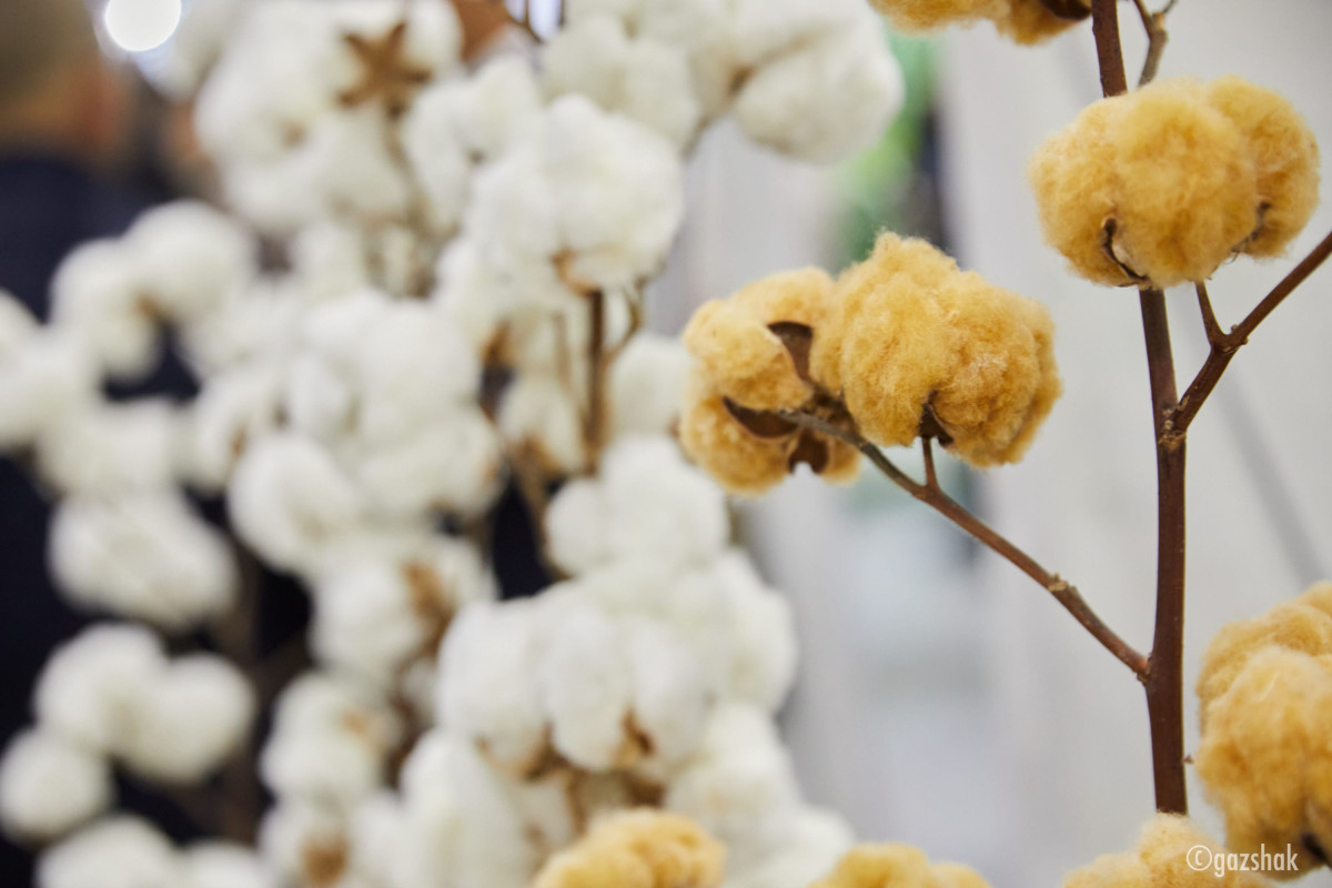 Аграрный рынок Казахстана - точка стабильности в регионе и центр возможностей для инвесторов Аграрный рынок Казахстана - точка стабильности в регионе и центр возможностей для инвесторов