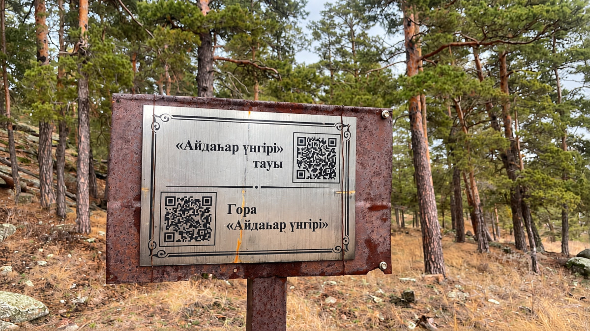Амангуль Тилейкызы