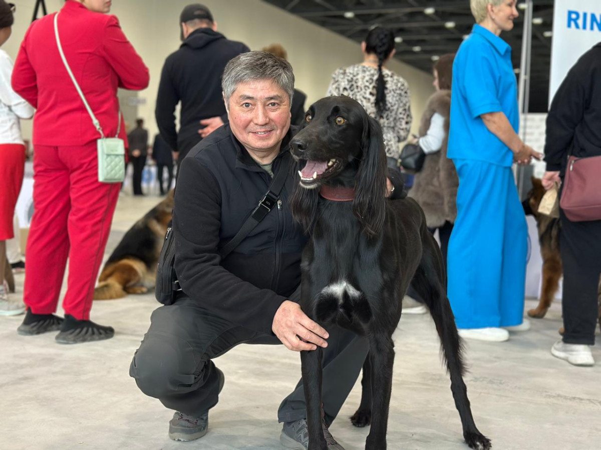 «Astana Winner – 2025»: «Қазақы Тазы» монокөрмесі қалай өтті?