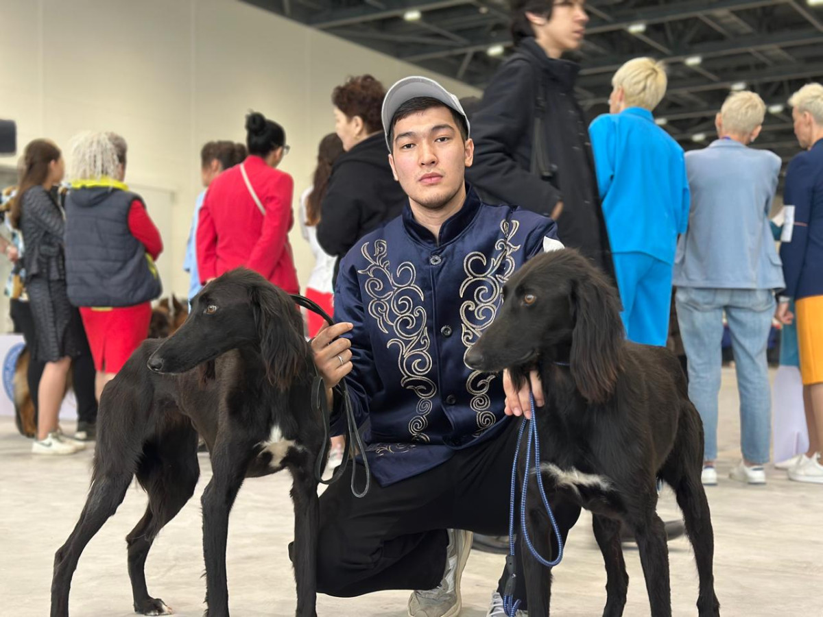 «Astana Winner – 2025»: «Қазақы Тазы» монокөрмесі қалай өтті?