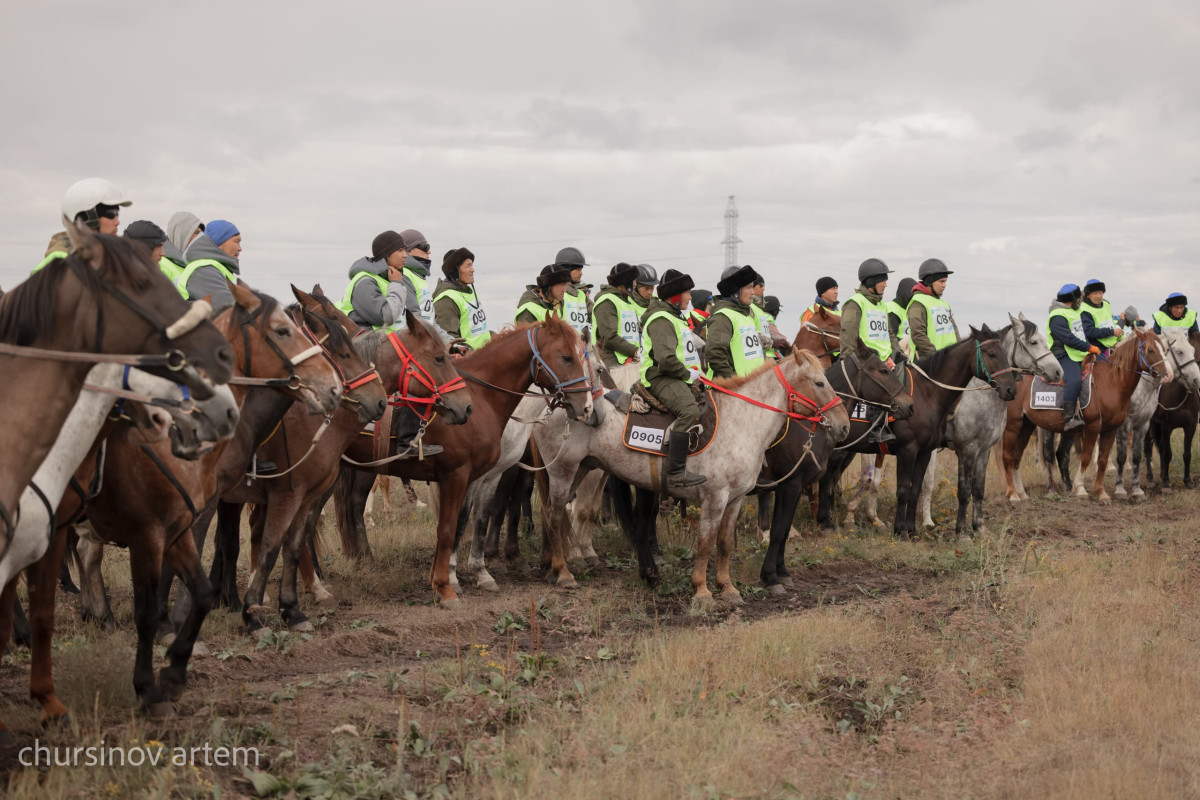 День спорта в Казахстане: праздник силы, здоровья и национальной гордости