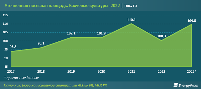 В Казахстане стали меньше выращивать арбузов и дынь - аналитики