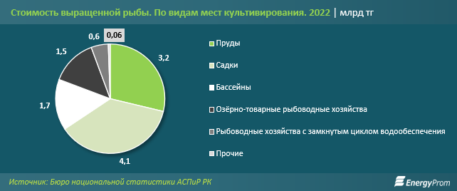 В 3,4 раза больше рыбы стали выращивать в Казахстане благодаря господдержке