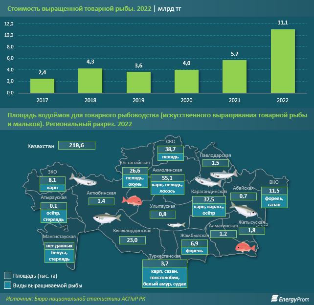 В 3,4 раза больше рыбы стали выращивать в Казахстане благодаря господдержке
