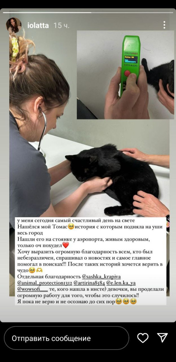 Нашли кота, которого почти месяц назад выкинул на улицу сотрудник аэропорта Алматы