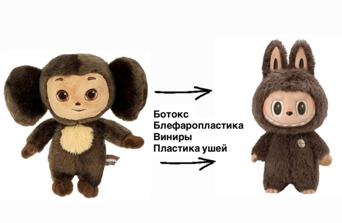 Идею лабубу могли украсть с чебурашки Идею лабубу могли украсть с чебурашки