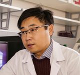 Биотехнология – наука без границ Биотехнология – наука без границ