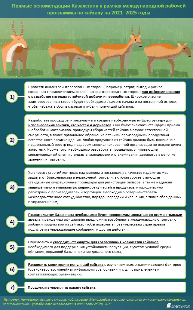 Казахстанские госорганы завышают количество сайгаков?