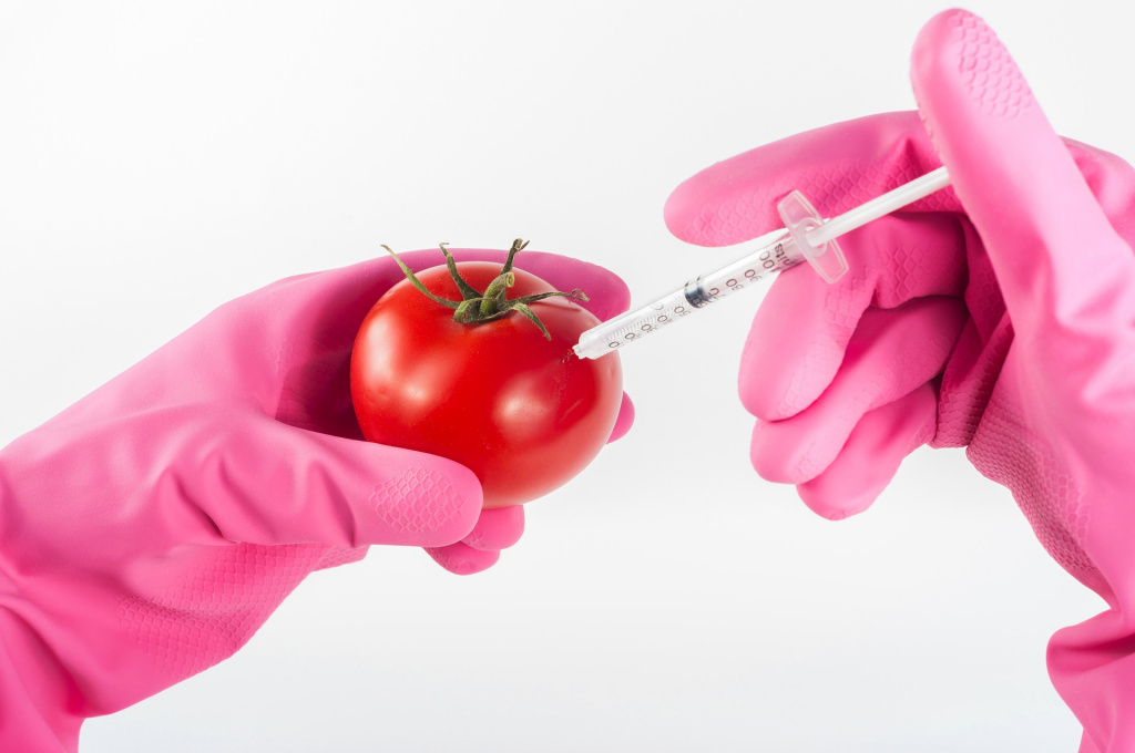 ГМО өнімдері туралы не білеміз?