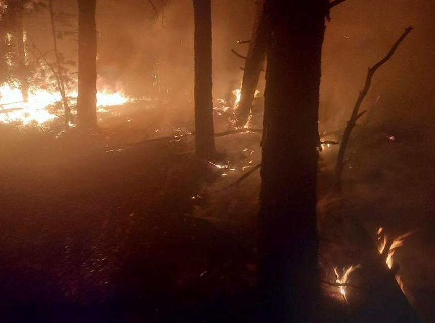 В Костанайской области продолжают тушить пожары на пяти участках лесной зоны 