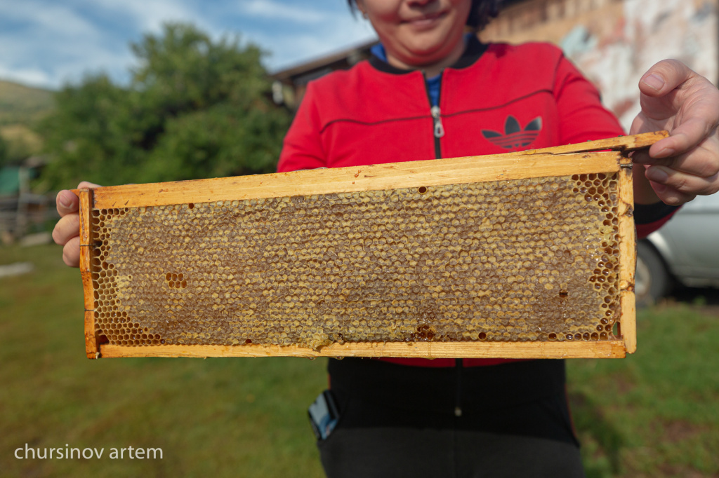 Идеи для домика для пчел: создайте уютное жилище для полезных насекомых