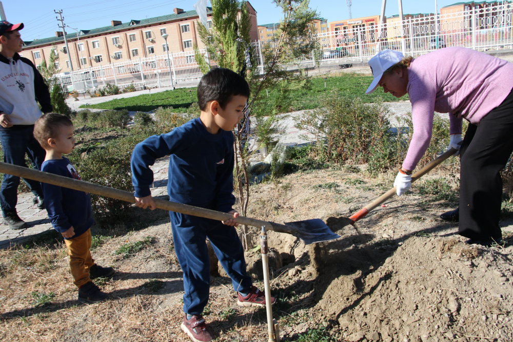 АНК Кызылординской области озеленила молодыми саженцами территорию детской больницы