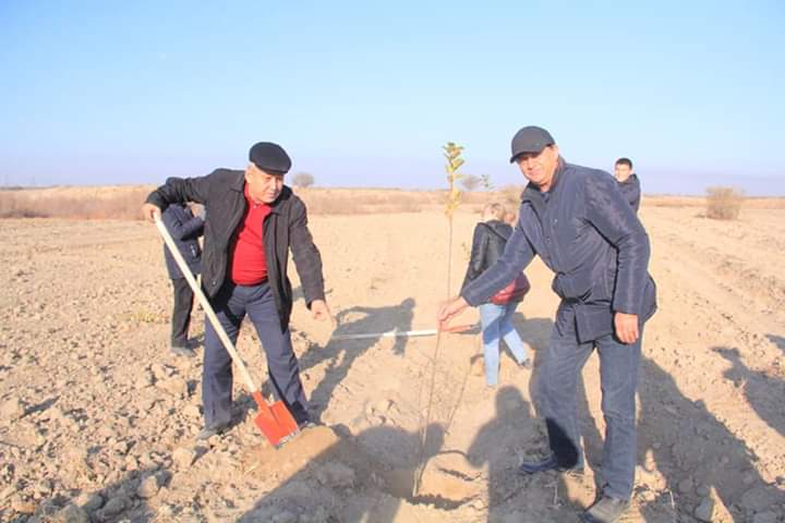 Экологический субботник прошел в Туркестанской области