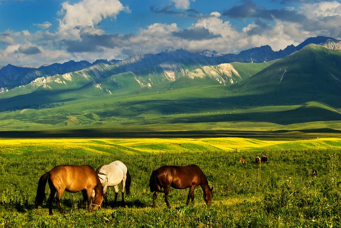 reasons to visit kazakhstan