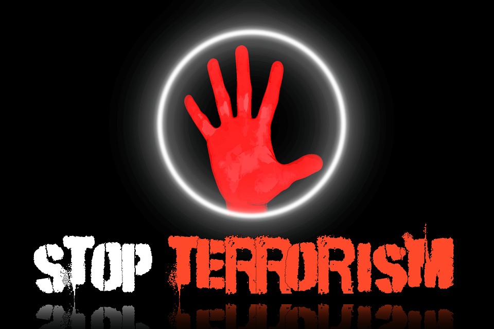 Терроризм: сущность, понятие, виды, подходы к исследованию