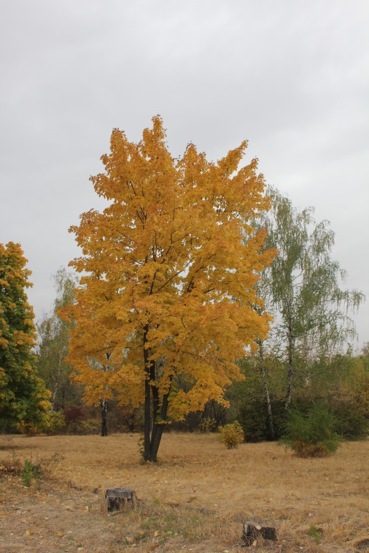 Фото авторы - Дархан Өмірбек